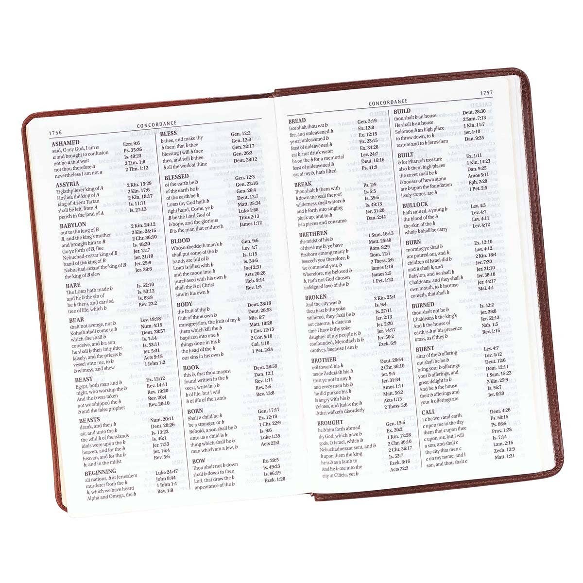 Brown | Giant Print | King James Version Bible