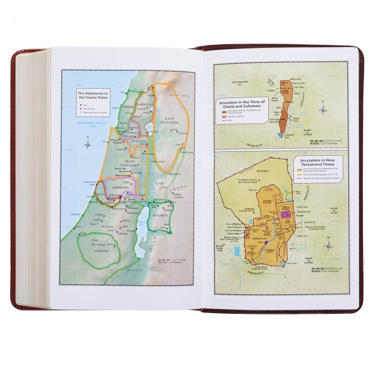 Brown | Giant Print | King James Version Bible